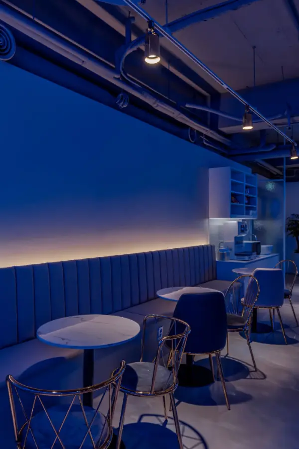 블루 벨벳과 골드가 어우러진 감각적 라운지 좌석